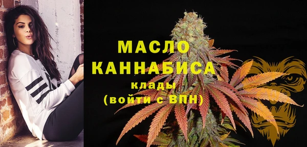 крисы Армянск