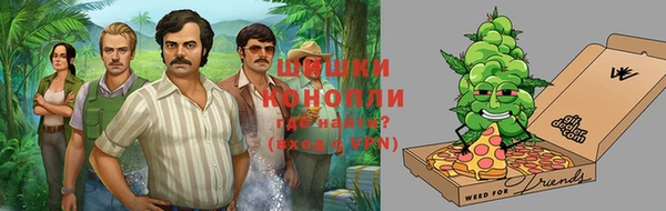 прущие крисы Пересвет