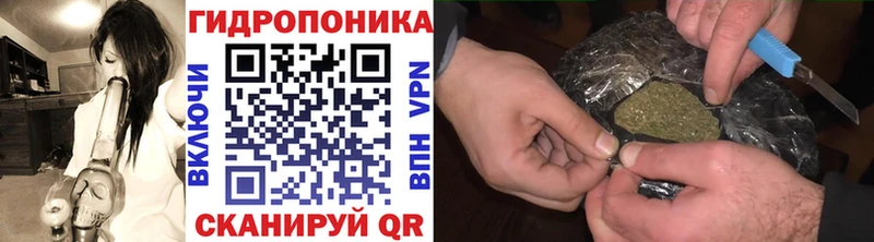 Бошки Шишки семена Снежинск